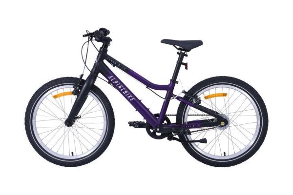 Велосипед Alpinebike Pegas 3-20 (2025)